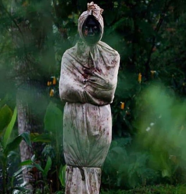 alasan-kenapa-pohon-pisang-sering-dikaitkan-dengan-pocong-1sukuMPhF2s