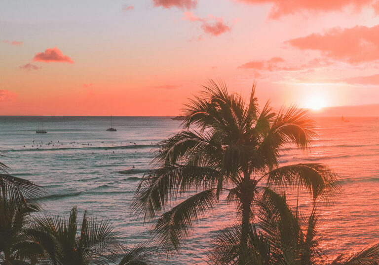 All Indonesia Arrival Card